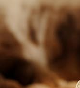 Onaboviva aroma diffuser