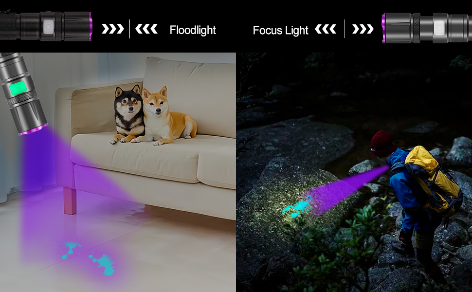black light flashlight