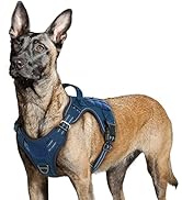 rabbitgoo Tactical Dog Harness for Large Dogs, No Pull Military Dog Harness with Handle &amp; Molle, ...
