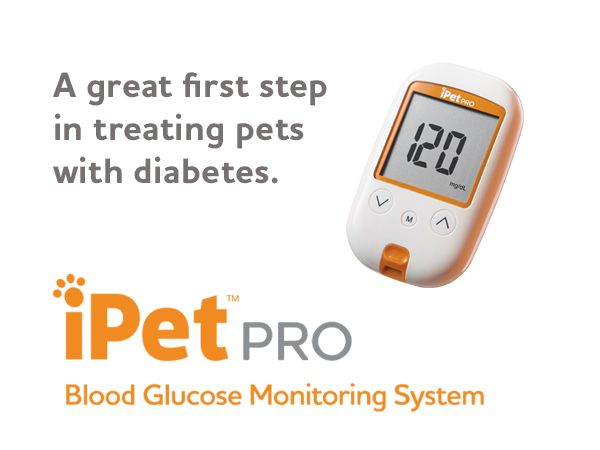 iPet PRO, Pet glucose montoring kit, Pet blood glucose monitor, dog, cat, pet, test strips