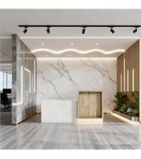 Modern Reception Desk with Counter & LED,Front Office Desk with Drawer, Keyboard Tray & Cabinet, Whi...