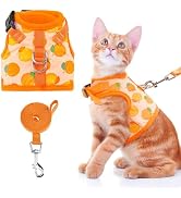 BINGPET Cat Harness with Leash Escape Proof - Fashionable Mesh Cat Dog Walking Harness Leads, Adj...