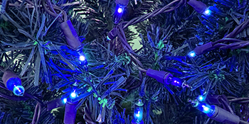 blue christmas lights