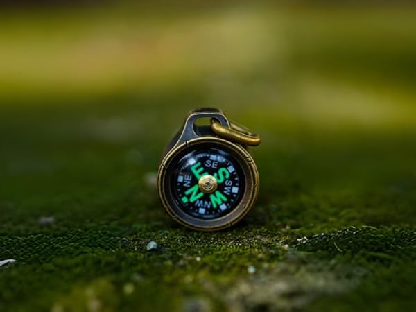 mini compass