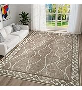 DweIke 4x6 Area Rugs for Living Room, Machine Washable Bordered Rug for Bedroom, Luxury Rubber Ba...