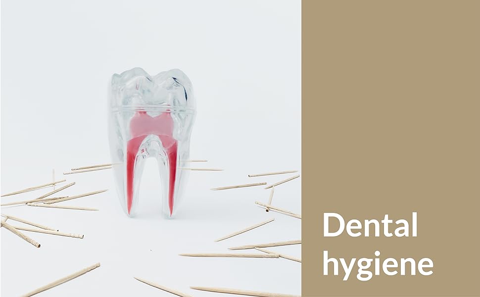 dental hygiene