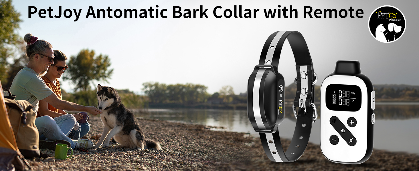 auto shock collar with remote
