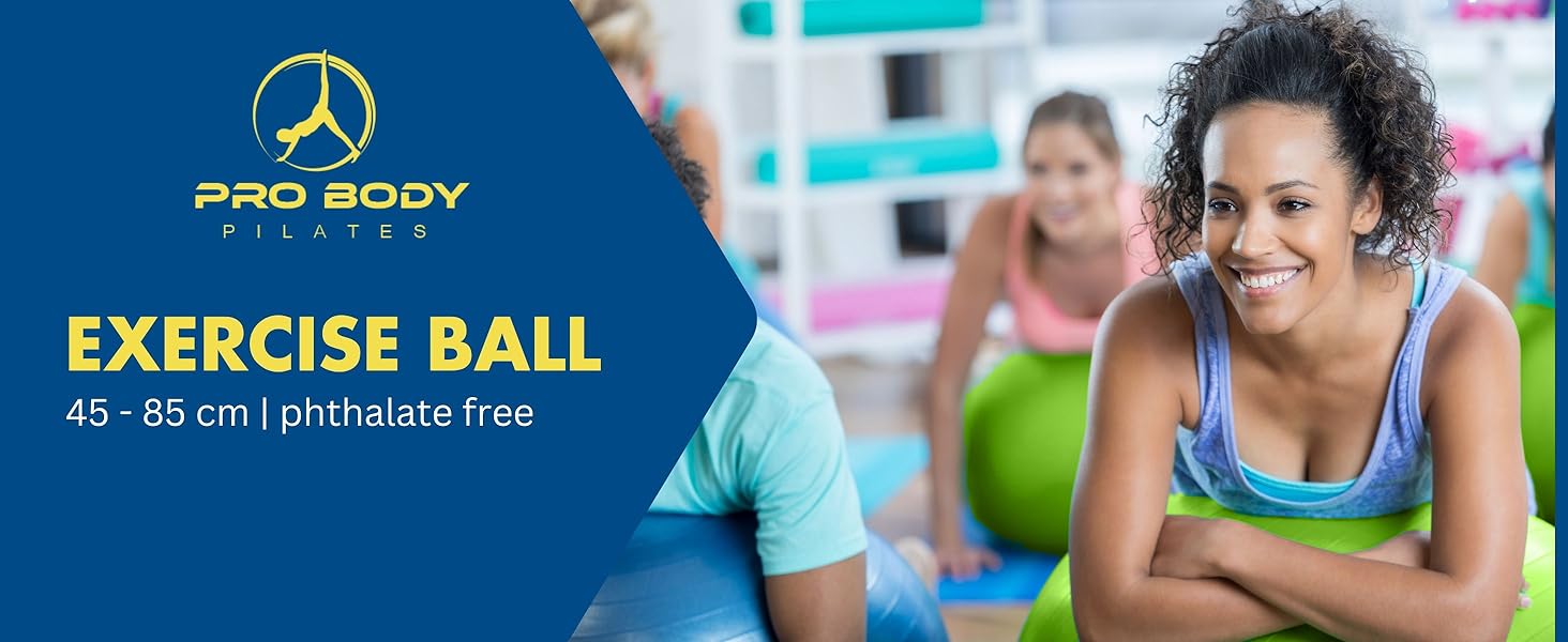 exercise balls accessories ball chair office back pregnancy ball exercise labor pregnancy ball