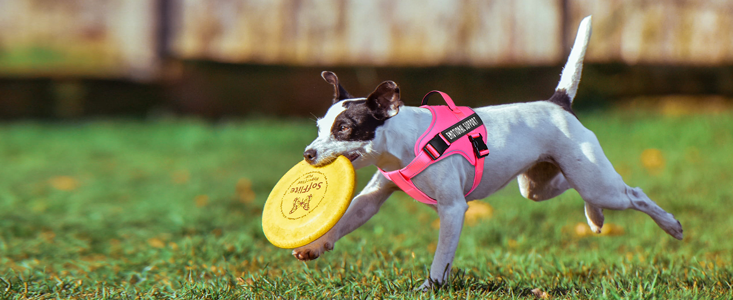comfortable vest harness- all day wear