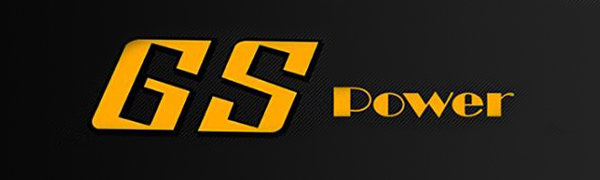 GS Power logo