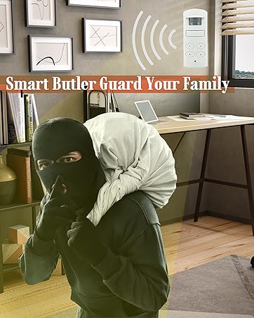motion sensor