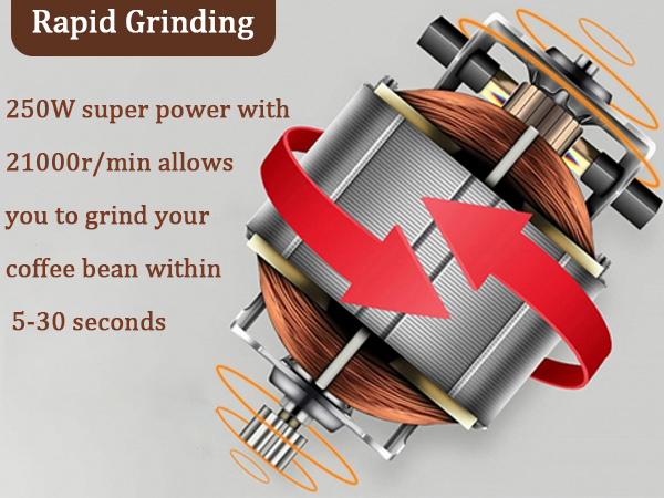  Electric Coffee Grinder