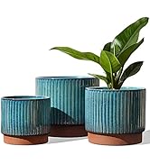 LE TAUCI Ceramic Plant Pots with Drainage Holes, Set of 3, 8+6.5+5.5 Inch Stripe Garden Planter P...