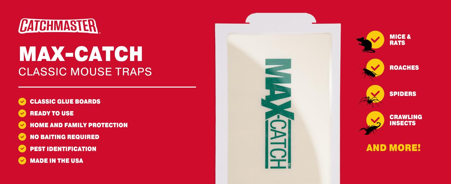 max catch glue trap scented mice crawling insects 