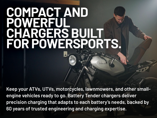 AI Creative Studio Generated Asset