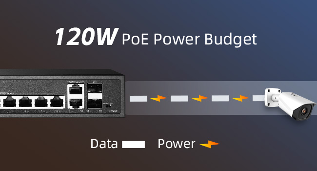 12-Port Gigabit PoE Switch
