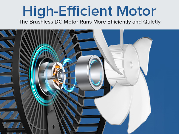 High-Efficient Motor