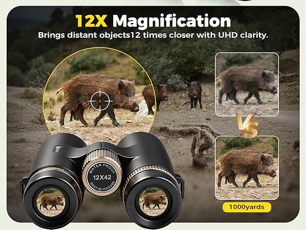 Binoculars for Adults