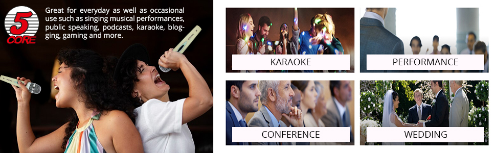 microphone for singing, wired microphone, dynamic microphone, mic, singing microphone