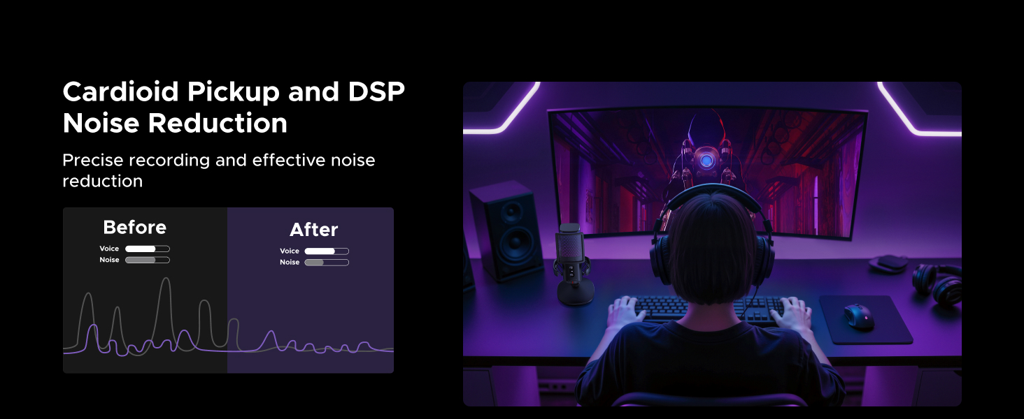 recording microphone