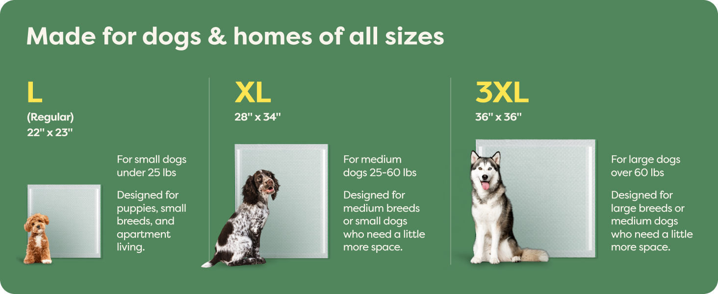 Large Pee Pads