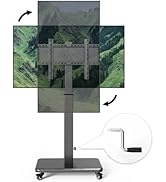 Mobile TV Cart with Handle Stepless Lift,Rolling TV Stand for 42-75inch TVs with 90 Rotating,Port...