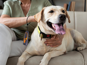 best anti barking device, stop barking dog devices, dog training dog barking silencer