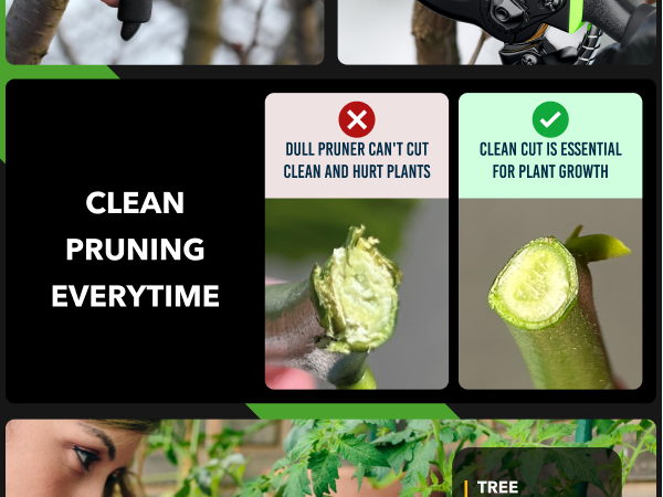 Pruning Shears
