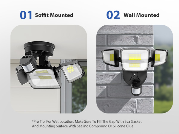 wall mount and soffit mount