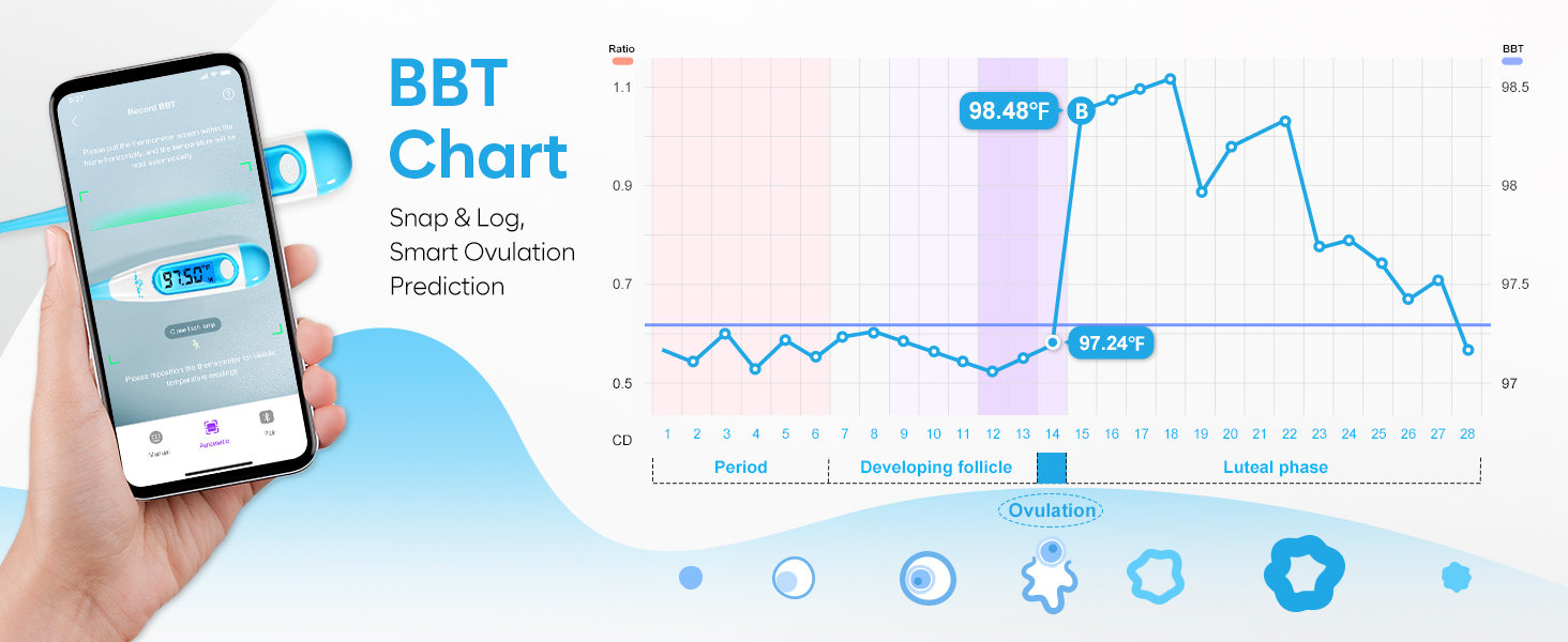 basal body thermometer