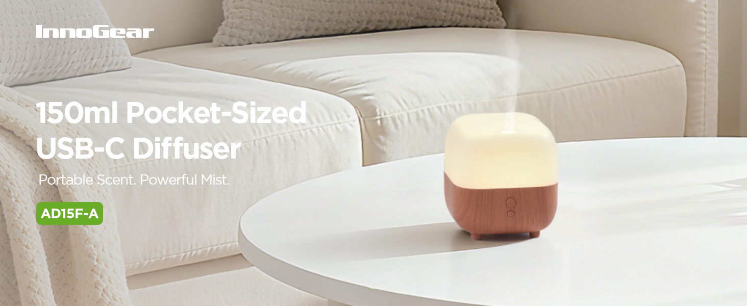 mini diffuser