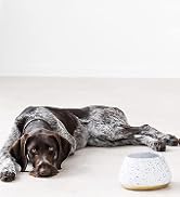 Navaris Ceramic Dog Bowl - Water &amp; Food Bowl for Dogs with Long Ears Cocker Spaniel Beagle Basset...