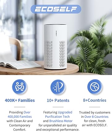 Air Purifiers for home