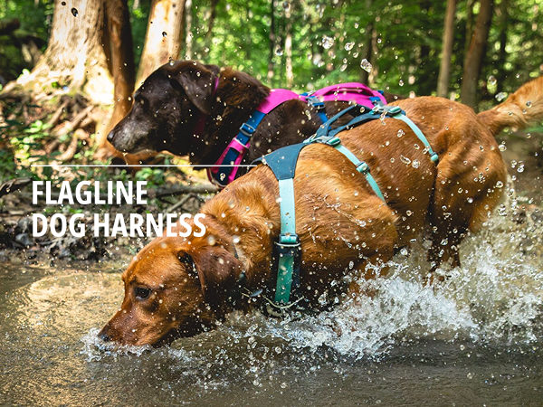 No pull dog harness for large dogs with lift handle and six points of adjustment.