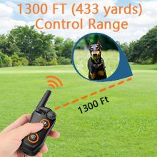 Dog Training Collar