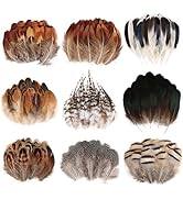 Daieeparty 270pcs Natural Pheasant Feathers 9 Style Mixed Small Feathers for DIY Craft Wedding Dr...