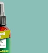 honey outside oil indoor peppermint bees hive patio yard porch keep away deck attractant essential
