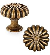 FAPUAL 10 Pack Antique Brass Cabinet Knobs for Kitchen Cabinets and Dresser Drawers,Zinc Alloy Ha...