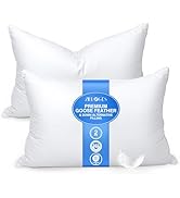 zibroges Feather Pillows Queen Size Set of 2 - Goose Down Hotel Bed Pillow for Sleeping, Soft 600...