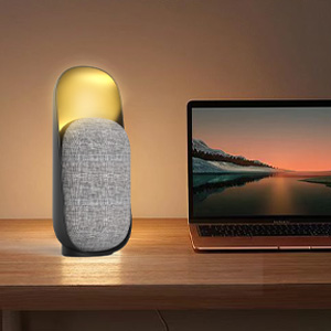 Bluetooth Speakers + Bedside Lamp