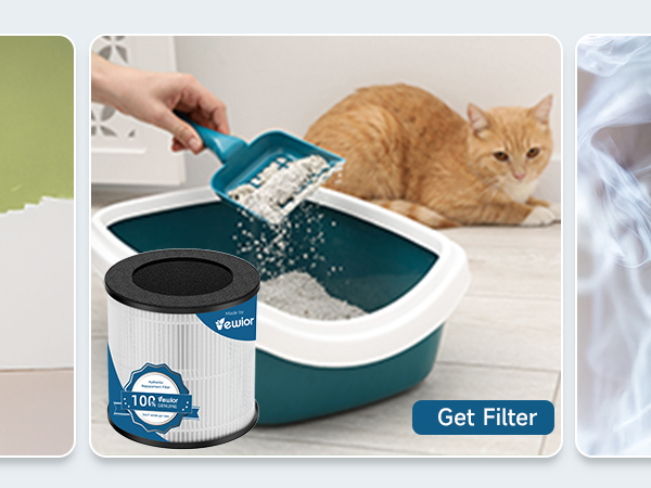 Remove Pet Odor