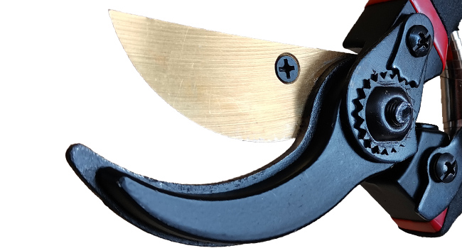 650 x 450 25 pruner