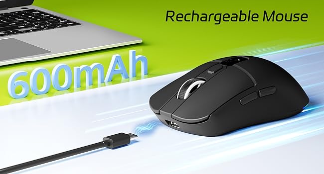mouse