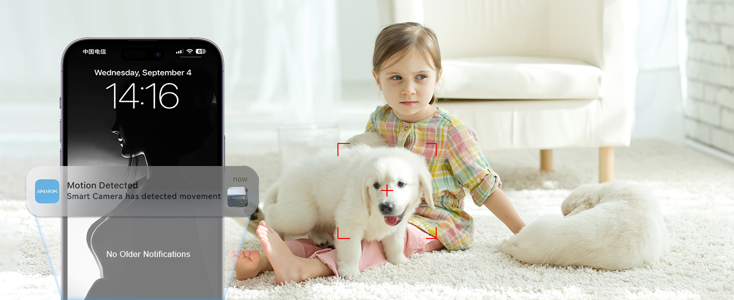 home surveillance cameras