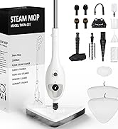 steam mop cleaner