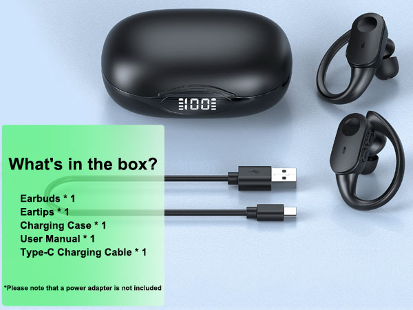 earbuds