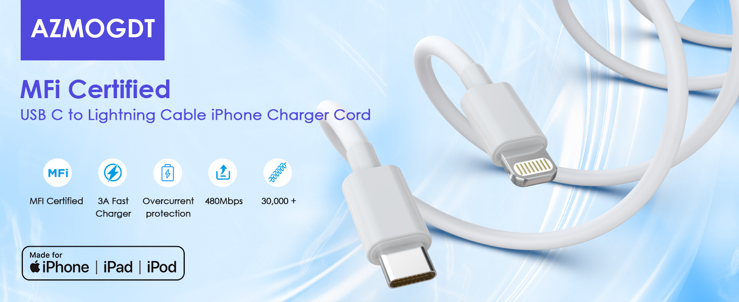 USB C to Lightning Cable