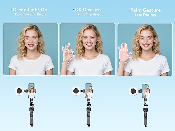 Gesture Recognition