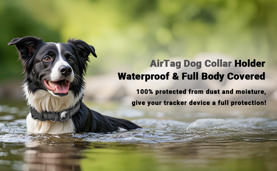 airtag dog collar