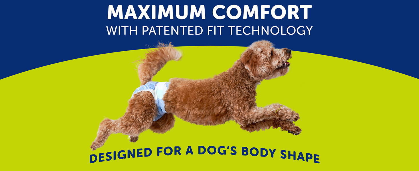Maximum Comfort